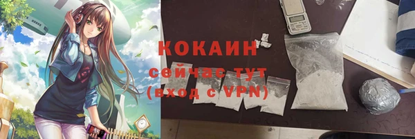 индика Абинск