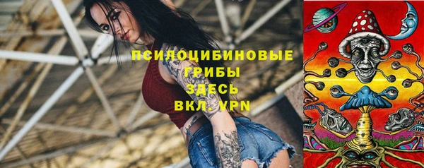 индика Абинск