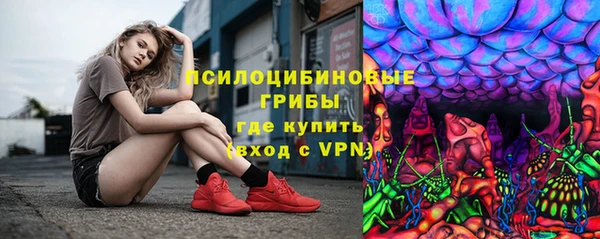 индика Абинск