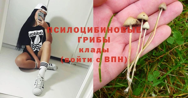 индика Абинск