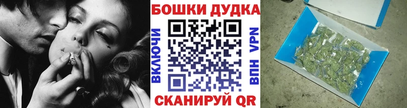 Бошки Шишки планчик Кировград